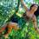 Bela Dona