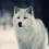 x_Wolf_x