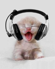 music-kitty