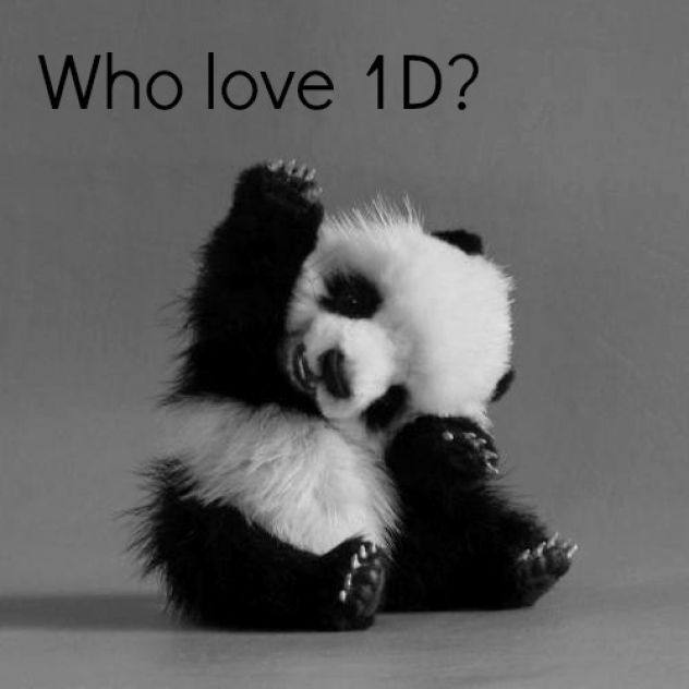 Who love 1D ?
