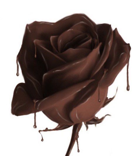 Čokoladna ruža