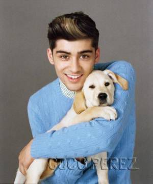 Zayn Malik and dog