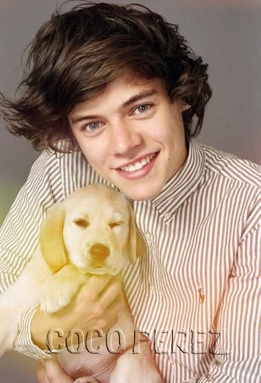 Harry Styles and dog