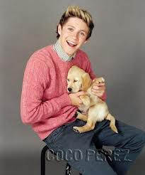 Niall Horan and dog