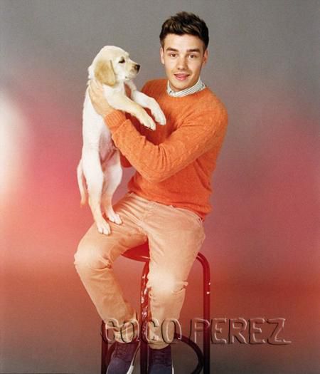 Liam Payne and dog
