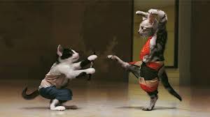 kung fu mace