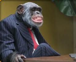 poslovni majmun