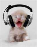 i mačka sluša muziku