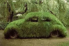 zelini auto