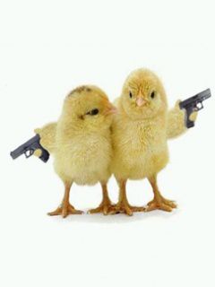 Chickens with gun`s