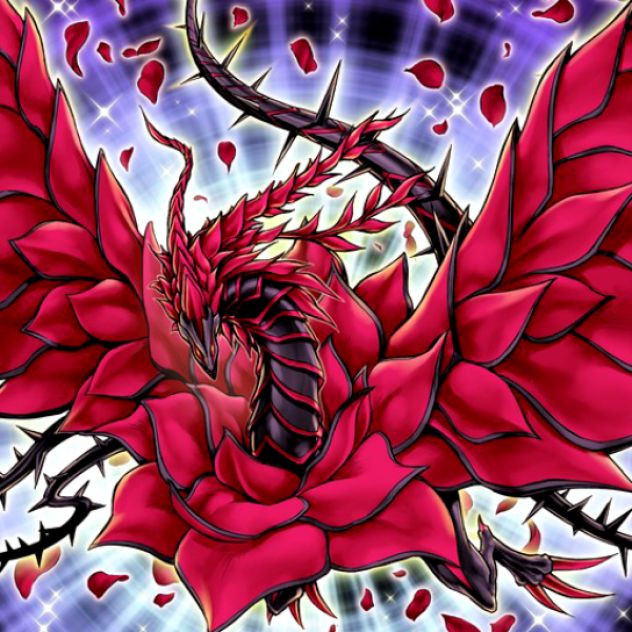 black rose dragon