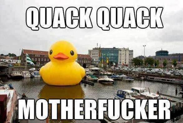 Quack Quack MotherDucker....