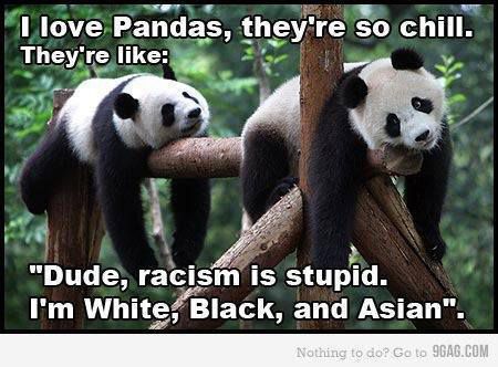 Panda's be like...