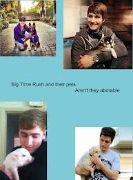 BTR and their pets