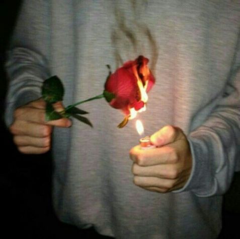 Burning rose! <3