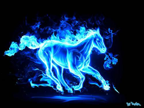 konj plave vatre