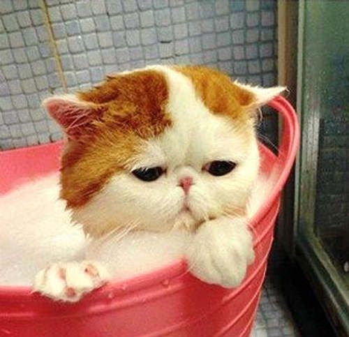 mrzim se kupati!
