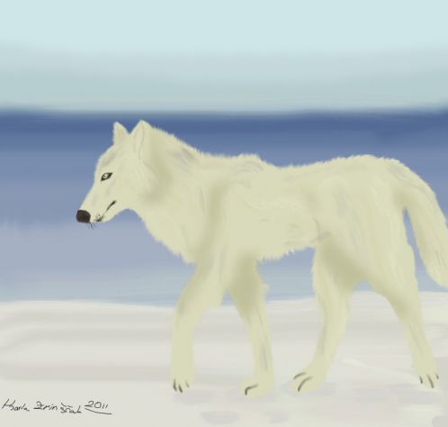 Polarni vuk
