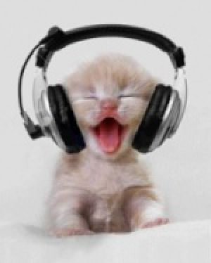 mačka sa slušalicama