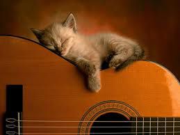 Maca glazbenik...